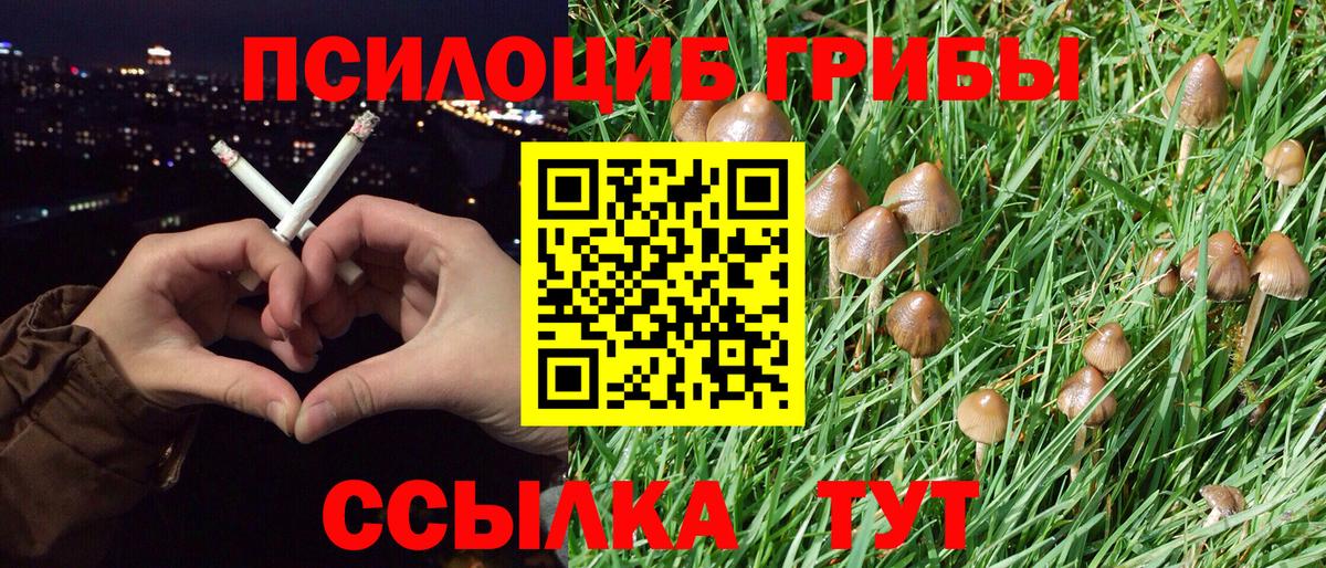 Галлюциногенные грибы мухоморы  купить наркотики цена  Берёзовский  Вход с VPN 